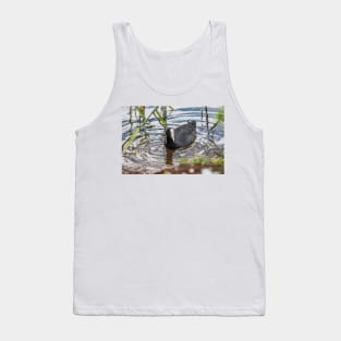 Hawaiian coot of Honolulu 2 Tank Top